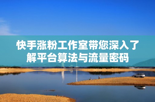 快手涨粉工作室带您深入了解平台算法与流量密码