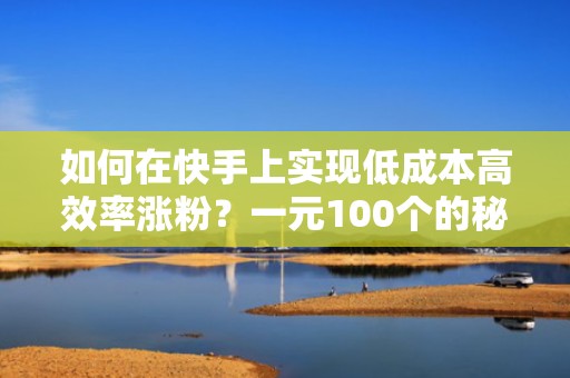 如何在快手上实现低成本高效率涨粉？一元100个的秘密武器