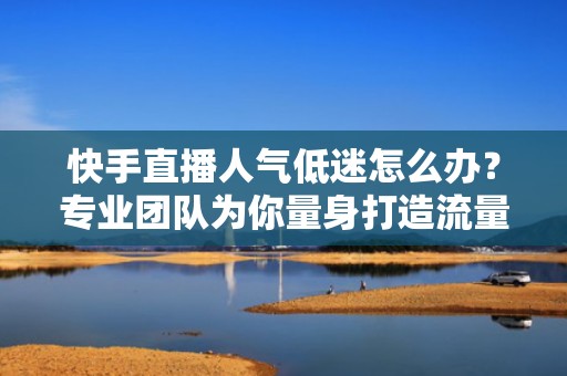快手直播人气低迷怎么办？专业团队为你量身打造流量增长方案