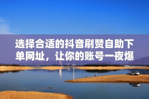 选择合适的抖音刷赞自助下单网址，让你的账号一夜爆火