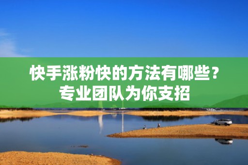 快手涨粉快的方法有哪些？专业团队为你支招