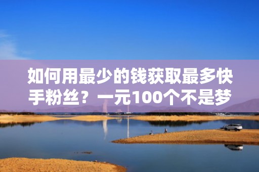 如何用最少的钱获取最多快手粉丝？一元100个不是梦