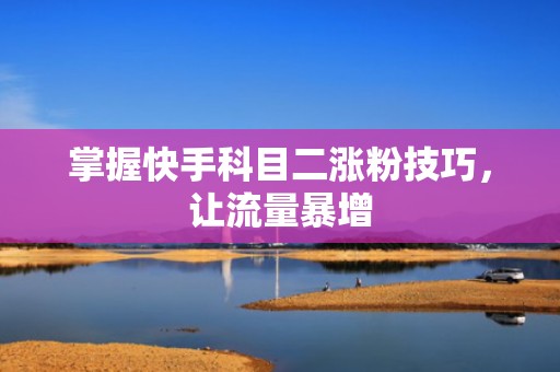 掌握快手科目二涨粉技巧，让流量暴增