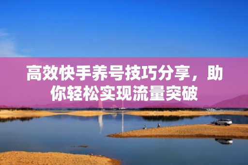 高效快手养号技巧分享，助你轻松实现流量突破