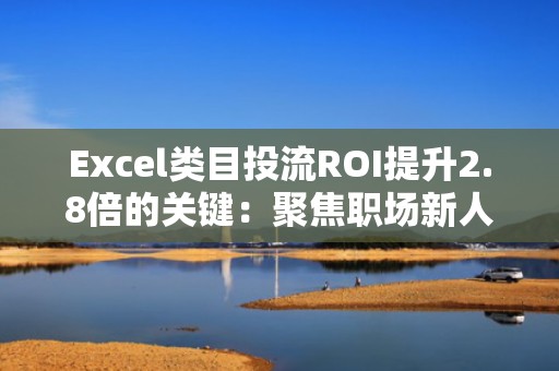 Excel类目投流ROI提升2.8倍的关键：聚焦职场新人/财务转行/行政提效三大高转化人群标签组合打法