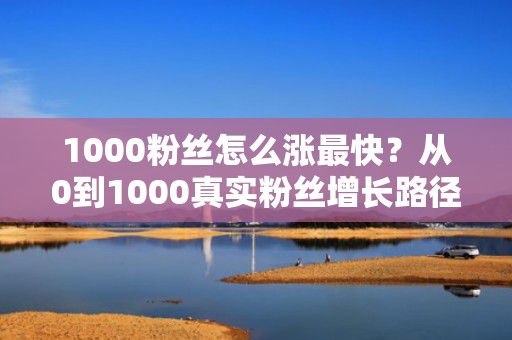 1000粉丝怎么涨最快？从0到1000真实粉丝增长路径：投流预算分配+数据复盘+迭代优化全链路指南