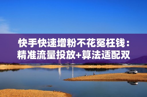 快手快速增粉不花冤枉钱：精准流量投放+算法适配双引擎驱动