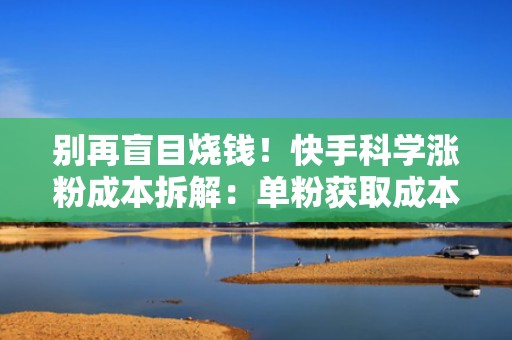 别再盲目烧钱！快手科学涨粉成本拆解：单粉获取成本低至0.8元的实操路径