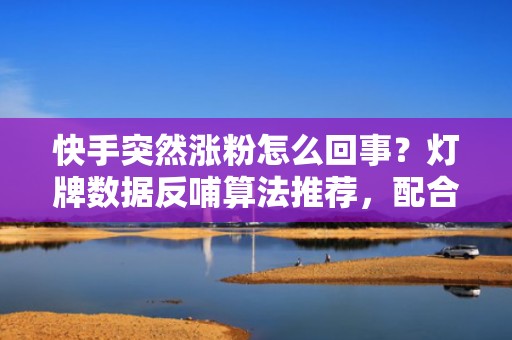 快手突然涨粉怎么回事？灯牌数据反哺算法推荐，配合DOU+定向投流实现冷启动破圈