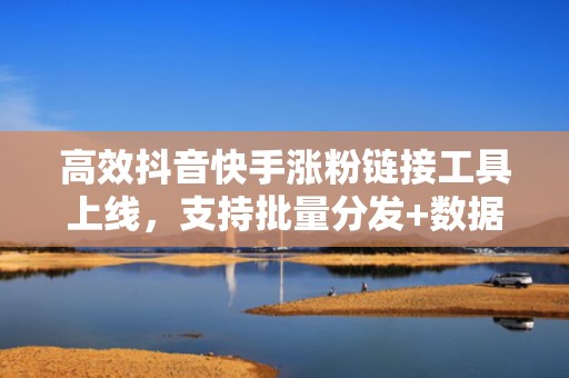 高效抖音快手涨粉链接工具上线,支持批量分发+数据追踪,助力短视频投流转化翻倍