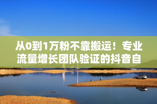 从0到1万粉不靠搬运！专业流量增长团队验证的抖音自然流+付费流双驱动模型