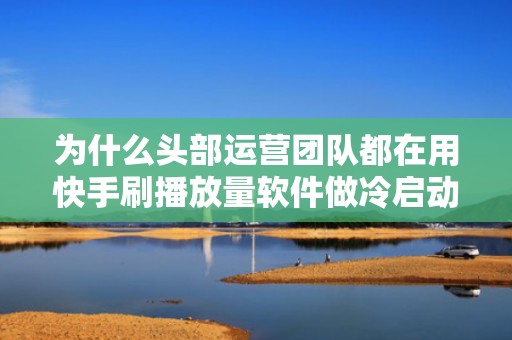 为什么头部运营团队都在用快手刷播放量软件做冷启动？实测转化率提升40%+