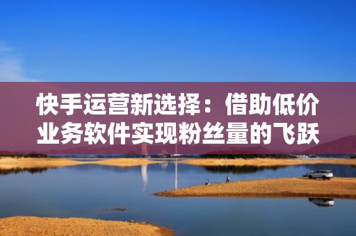 快手运营新选择:借助低价业务软件实现粉丝量的飞跃 快手运营新选择:借助低价业务软件实现粉丝量的飞跃