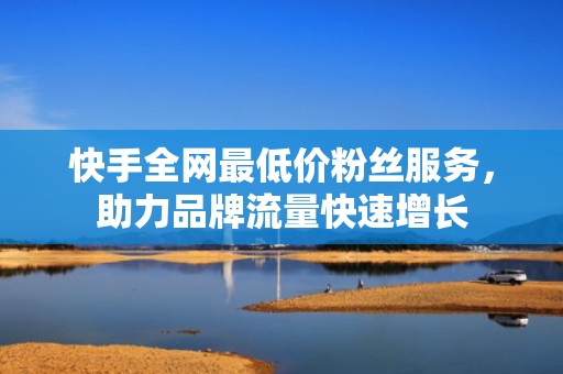快手全网最低价粉丝服务，助力品牌流量快速增长