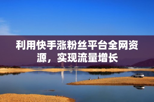 利用快手涨粉丝平台全网资源，实现流量增长