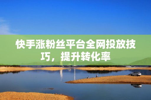 快手涨粉丝平台全网投放技巧，提升转化率