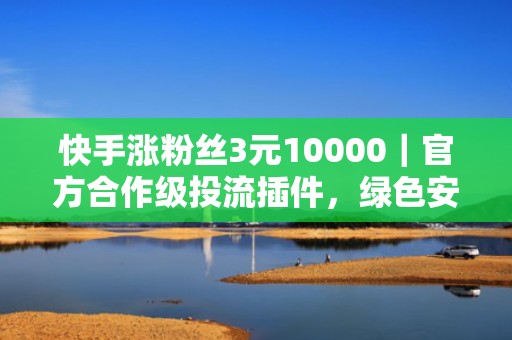 快手涨粉丝3元10000｜官方合作级投流插件，绿色安装无捆绑，提升完播率与转化率