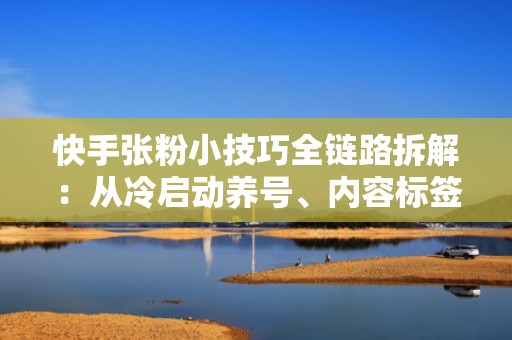 快手张粉小技巧全链路拆解:从冷启动养号、内容标签强化到投流人群包搭建 快手张粉小技巧全链路拆解:从冷启动养号、内容标签强化到投流人群包搭建