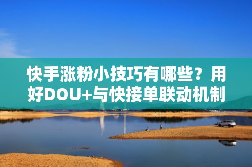快手涨粉小技巧有哪些？用好DOU+与快接单联动机制，实现粉丝高效沉淀