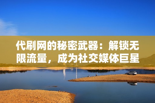 代刷网的秘密武器：解锁无限流量，成为社交媒体巨星