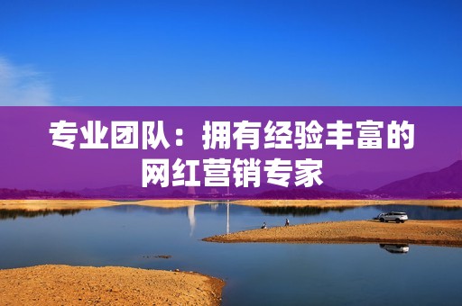 专业团队：拥有经验丰富的网红营销专家