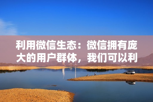 利用微信生态：微信拥有庞大的用户群体，我们可以利用微信的社交关系链进行推广。 将视频号链接分享到微信群和朋友圈中