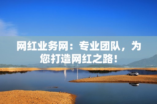 网红业务网：专业团队，为您打造网红之路！