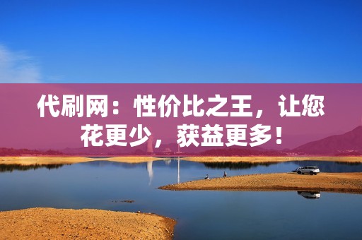代刷网：性价比之王，让您花更少，获益更多！
