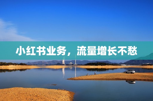 小红书业务，流量增长不愁