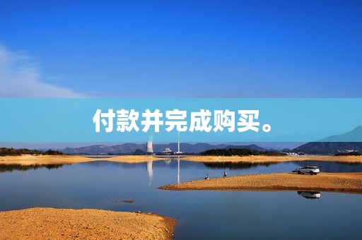付款并完成购买。